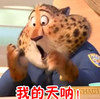 疯狂动物城 花豹 惊讶 我的天呐