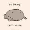 猫 躺下 肥胖 搞笑 pusheen