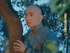 那年花开月正圆 陈晓 抱着树 得意