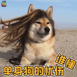 忧伤GIF表情图_忧伤表情_忧伤GIF动图-SOO完减在吃动态包11900图片