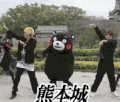 熊本城 跳舞 可爱 搞笑