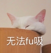 萌宠 猫星人 无法呼吸 难受 搞怪 逗