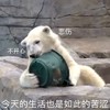 萌宠 北极熊 今天的生活也是如此苦涩 难受 呆萌 可爱