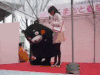 熊本熊 撩裙子 猥琐 色