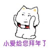 拜年 给长辈拜年 小爱给您拜年了 过年好 压岁钱
