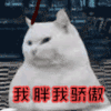soogif soogif出品 猫 我胖我骄傲