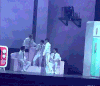金钟仁 都暻秀 逗比 演唱会 互动