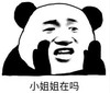 暴漫 文字表情包 小姐姐在吗 搞笑 逗 沙雕