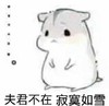 仓鼠 呆萌 可爱 夫君不在寂寞如雪