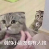 萌宠 喵星人 别的小朋友都有人抱 我也要抱抱 憨憨 可爱