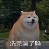 萌宠 汪星人 洗完澡了吗 期待 呆萌 可爱