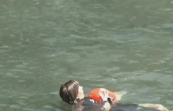 河水 狗狗 蓝色 浮在水面