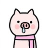 猪猪 小猪 壁纸