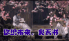 三生三生十里桃花 你织布来我看书 唯美 soogif soogif出品