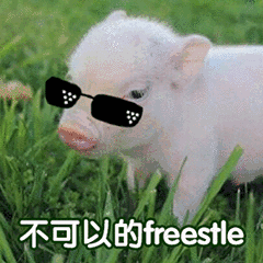 猪猪 不可以的freestle 耍酷 墨镜 斗图