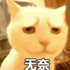 无奈 猫