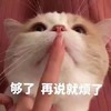 萌宠 猫星人 够了 再说就烦了 难受 呆萌 可爱