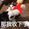 萌宠 猫星人 那我收下了 不客气 搞怪 呆萌
