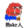 skr 热skr人