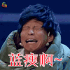碰瓷 宋小宝 蓝瘦 伤心 soogif soogif出品 难受