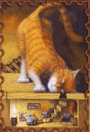 老鼠 猫 快出来  就不出去