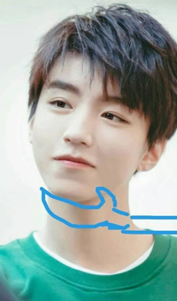 捧脸杀 王俊凯 素材 soogif soogif出品