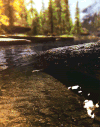 景观 landscape nature 夏天