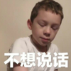假笑男孩 萌娃 不想说话 可爱 搞笑 逗