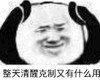 熊猫头 文字表情包 整天清醒克制有什么用 搞怪 逗 沙雕