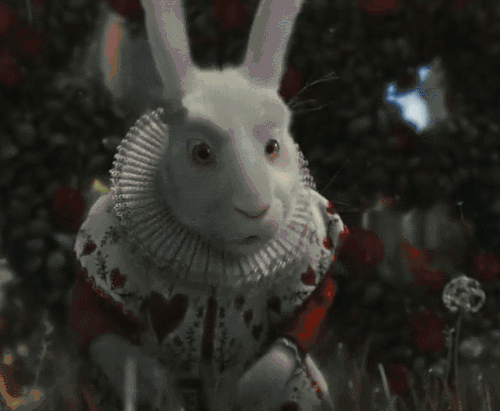 爱丽丝梦游仙境 兔子 严肃 说话