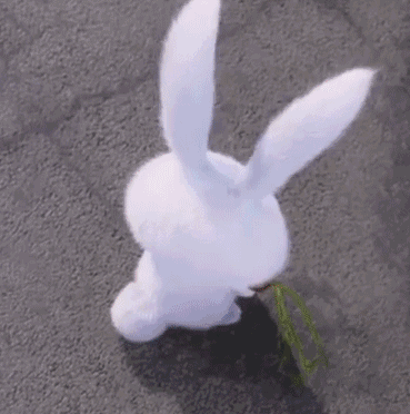 小兔兔 搞笑 可爱 萌萌哒 胡萝卜