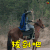 丽姬传 秦时丽人明月心 拔剑吧 soogif soogif出品