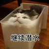 萌宠 猫星人 继续潜水 消失 呆萌 搞怪