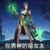 王者荣耀 游戏人物 女玩家 斗图 你男神的前女友