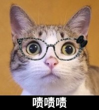 啧啧啧 猫咪 戴眼镜 大眼睛