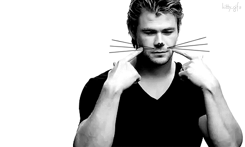 猫咪 搞笑 克里斯·海姆斯沃斯 Chris+Hemsworth