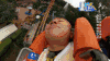 奔跑吧 兄弟 王祖蓝 加油