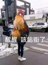 醒醒该站街了 搞笑 美女 逗逼 公鸡头