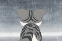 下雨 天气 阴雨 雨伞