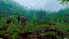 游戏 风景 我们最后的人 tlou 顽皮狗