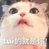 萌宠 猫星人 tui的就是你 生气 呆萌 可爱