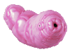 生物 恶心 蠕虫 肉虫