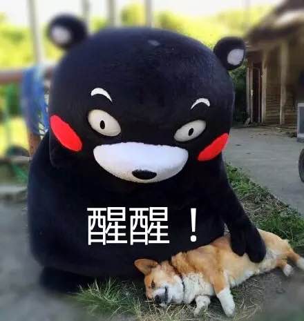熊猫狗狗可爱醒醒gif动图_动态图_表情包下载_soogif