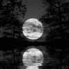 夜晚