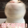 猫 我不听 拒绝