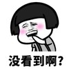 暴漫 文字表情包 没看到啊 搞笑 逗 沙雕