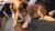 狗 握手 摸脸 温和 萌萌哒 dog