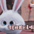 爱宠大机密 卖萌 可爱的我回来啦 soogif soogif出品