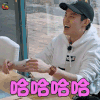 亲爱的客栈2 亲爱的客栈 王鹤棣 哈哈哈哈 开心 soogif soogif出品