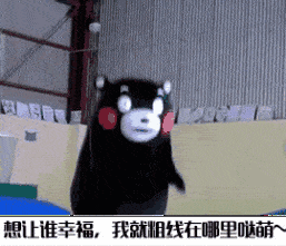 大熊猫 可爱 跳跃 黑色